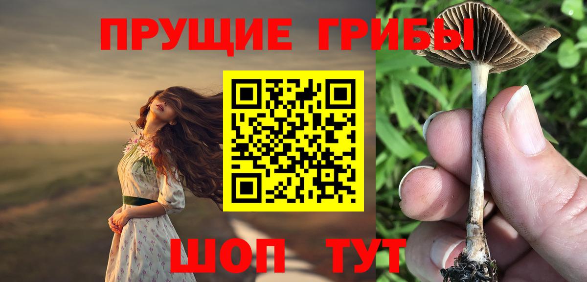 Галлюциногенные грибы Cubensis Сочи